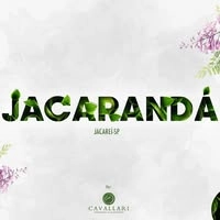 Logotipo da empresa ECOLIVE JACARANDA