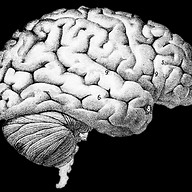 Logotipo da empresa MATHEUS FELIX FAQUINELLI AGRONEGOCIOS LTDA