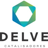 Logotipo da empresa DELVE QUIMICA