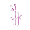 Logotipo da empresa BAMBU ROSA