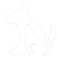 Logotipo da empresa PETBURGER.CO