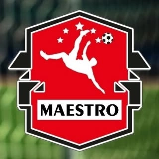 Logotipo da empresa ESPETINHOS MAESTRO