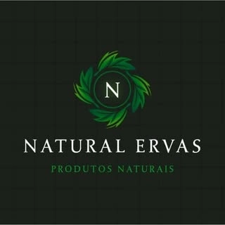 Logotipo da empresa GBSNATURAL