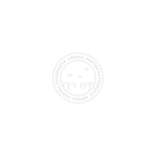Logotipo da empresa ABIGAIL CASTRO FOTOGRAFIA