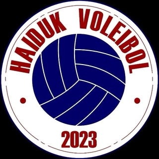 Logotipo da empresa HAIDUK VOLEIBOL