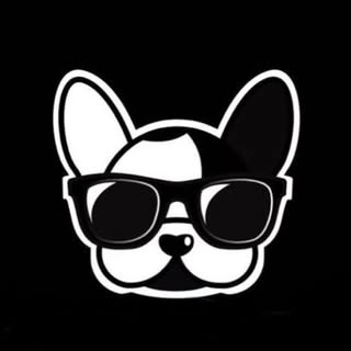 Logotipo da empresa POP DOG ACESSORIOS