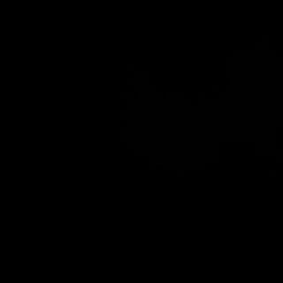 Logotipo da empresa DALANHOL HOLDING FAMILIAR LTDA