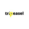Logotipo da empresa TRIPHASE