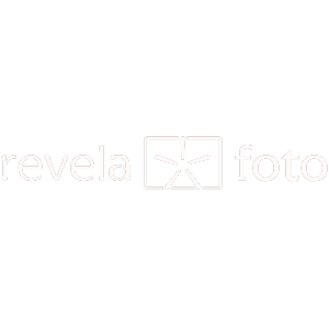 Logotipo da empresa CAROL BORTOLINI