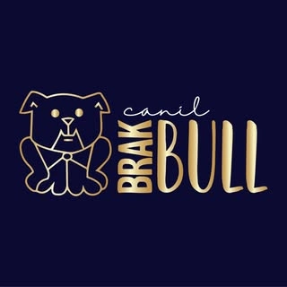 Logotipo da empresa BRAKBULL