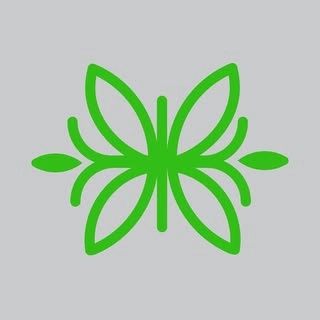 Logotipo da empresa BORDLINE LTDA