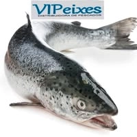Logotipo da empresa DISTRIBUIDORA DE PESCADOS TUPA