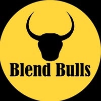 Logotipo da empresa BLEND BULLS