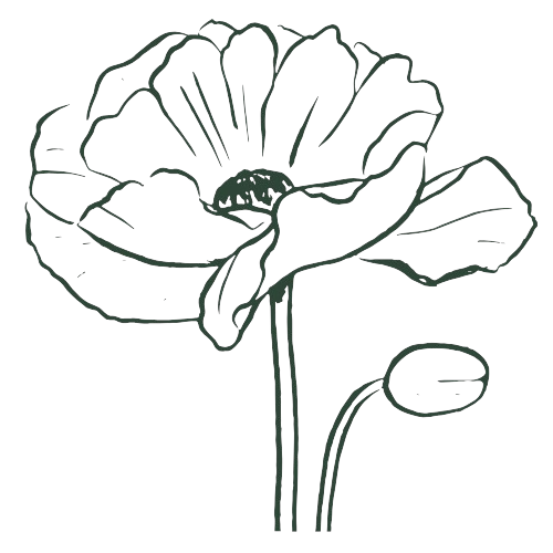Logotipo da empresa GIACCON