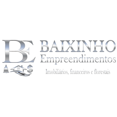 Logotipo da empresa BAIXINHO EMPREENDIMENTOS