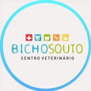 Logotipo da empresa BICHO SOUTO - CENTRO VETERINARIO