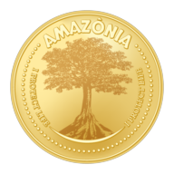 Logotipo da empresa AMAZONIA PROJETOS GERAIS E GESTAO LTDA