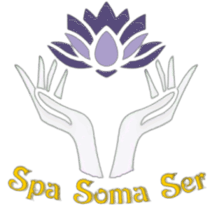 Logotipo da empresa SPA SOMA SER