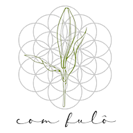 Logotipo da empresa COM FULO