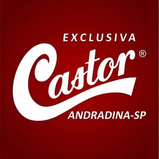 Logotipo da empresa CASTOR EXCLUSIVA ANDRADINA