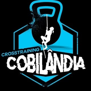Logotipo da empresa BOX COBILANDIA