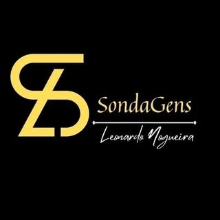 Logotipo da empresa LS SONDAGEM