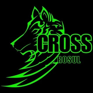 Logotipo da empresa CROSS ROSUL