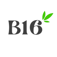 Logotipo da empresa BLOCO 16 - PROJETOS SUSTENTAVEIS E INOVACAO