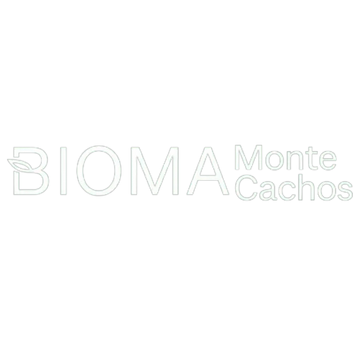 Logotipo da empresa MONTE CACHOS