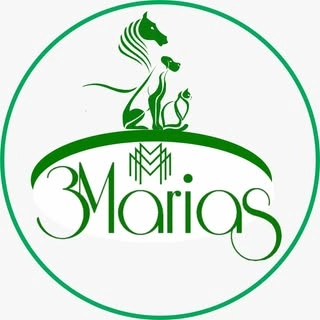 Logotipo da empresa CHACARA TRES MARIAS