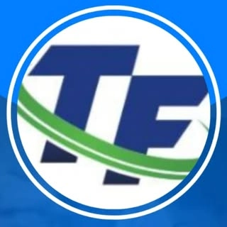 Logotipo da empresa TERRA FORTE