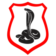 Logotipo da empresa ELITS SOLUCOES AUTOMOTIVAS