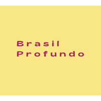 Logotipo da empresa BRASIL PROFUNDO ROUPAS LTDA