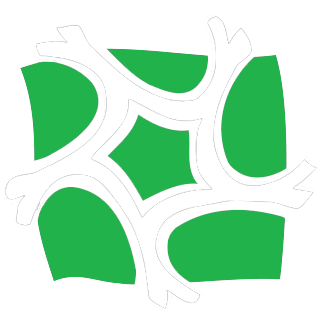 Logotipo da empresa BACCHI PARTICIPACOES LTDA
