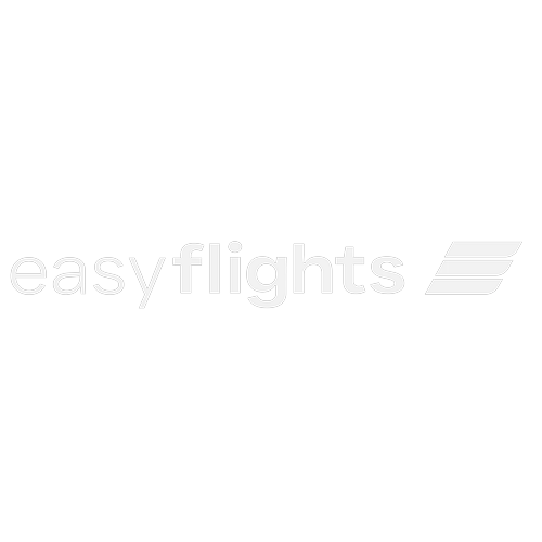 Logotipo da empresa EASY FLIGHTS