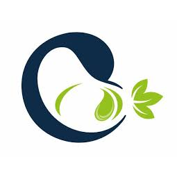 Logotipo da empresa DEALUS