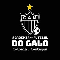 Logotipo da empresa ACADEMIA DE FUTEBOL LTDA