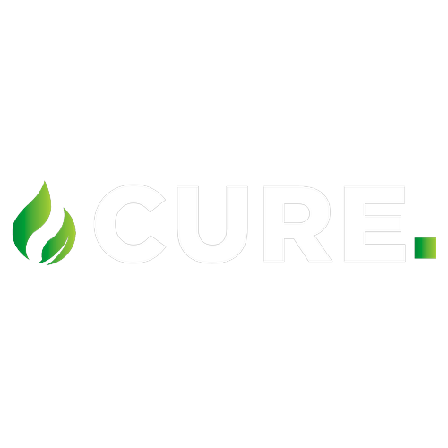 Logotipo da empresa O REI DO CBD