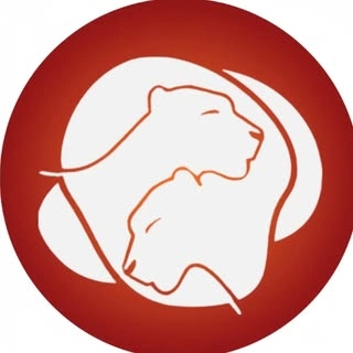 Logotipo da empresa KFE VIVER