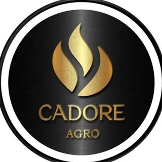 Logotipo da empresa CADORE AGRO