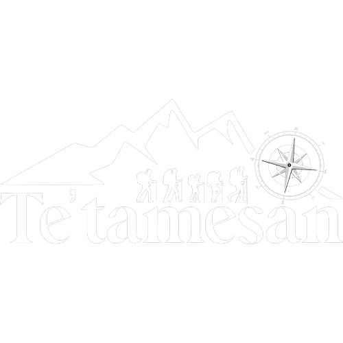 Logotipo da empresa TETAMESAN