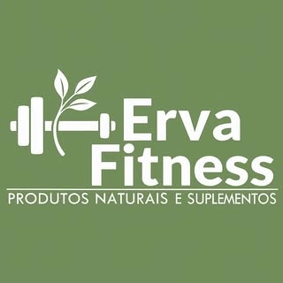 Logotipo da empresa FV FITNESS