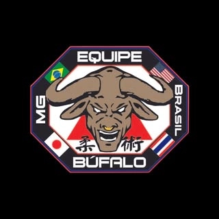 Logotipo da empresa CT EQUIPE BUFALO