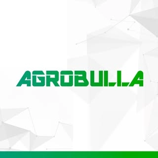 Logotipo da empresa BULLA HOLDING