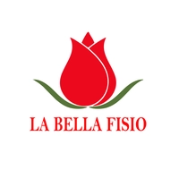 Logotipo da empresa MV VET