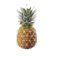 Logotipo da empresa TROPICOLOR