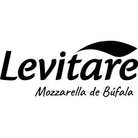 Logotipo da empresa LEVITARE