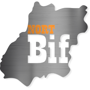 Logotipo da empresa NORT BIF
