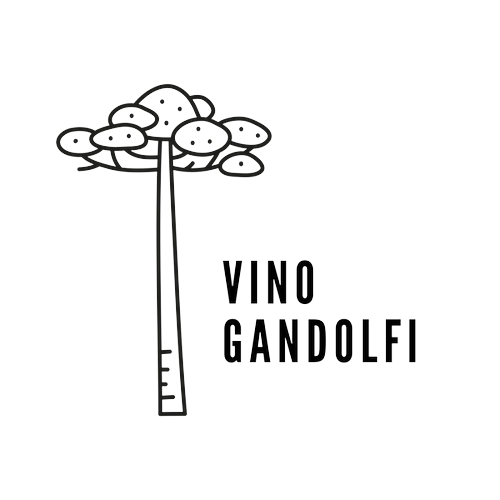 Logotipo da empresa VINHOS GANDOLFI LTDA