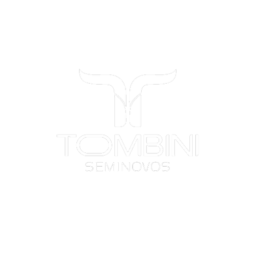 Logotipo da empresa TOMBINI PARTICIPACOES LTDA